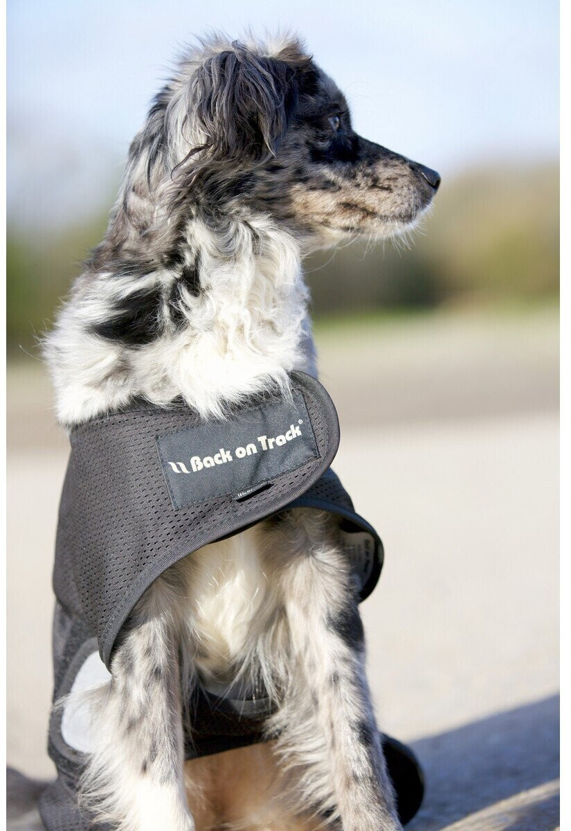 Back on Track Manteau pour chien L Back on Track Manteau pour chien L