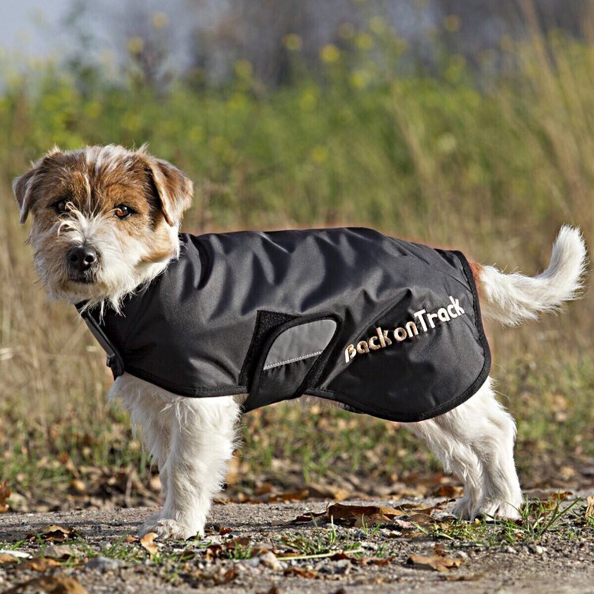 Back on Track Manteau pour chien L