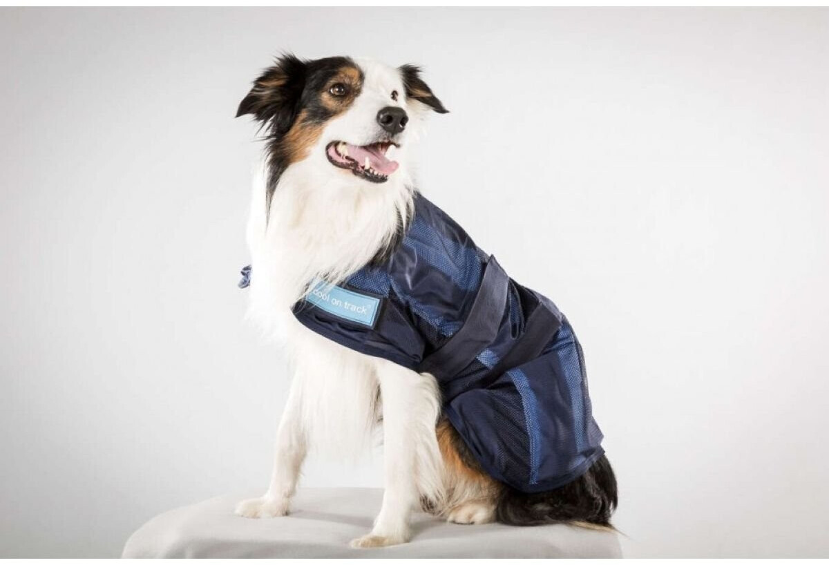 Back on Track Manteau pour chien 50cm Back on Track Manteau pour chien 50cm