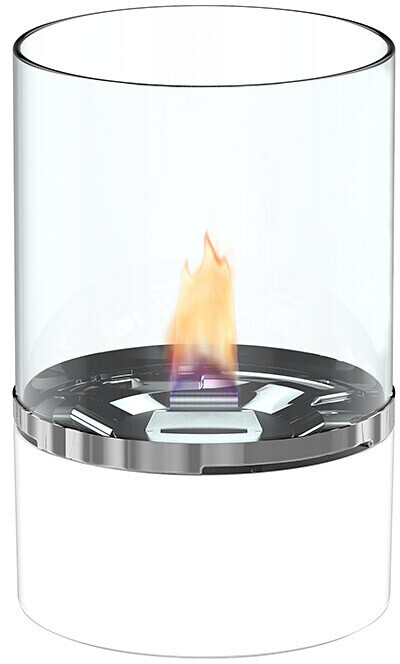 Tenderflame Tulpe 15