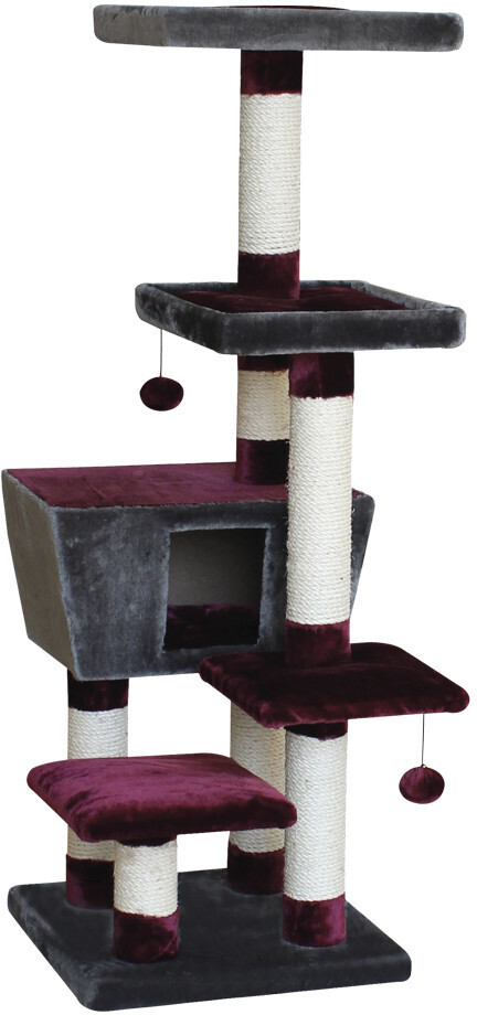 Nobby Motega Bordeaux/Anthracite