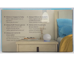 echo dot 4 generazione cosa fa