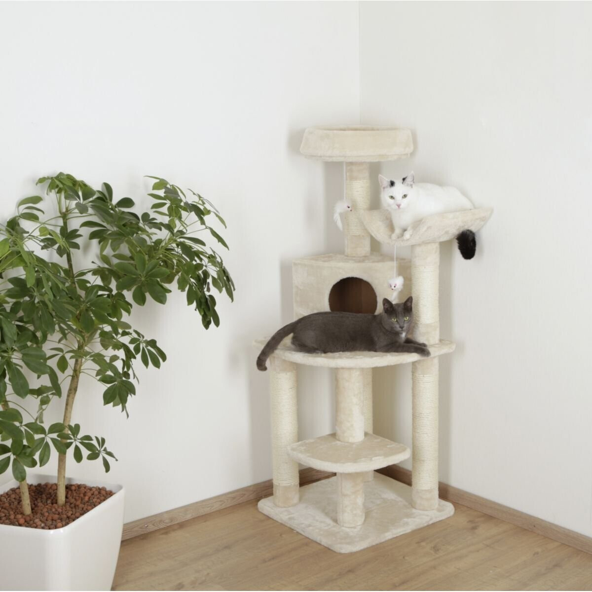 Kerbl Arbre à chat Kerbl Arbre à chat