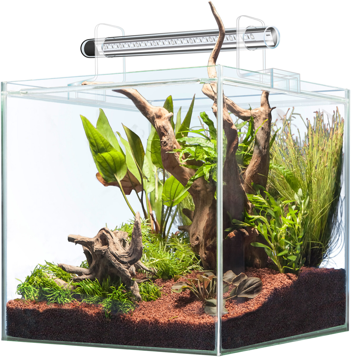 sera Scaper Cube 64L