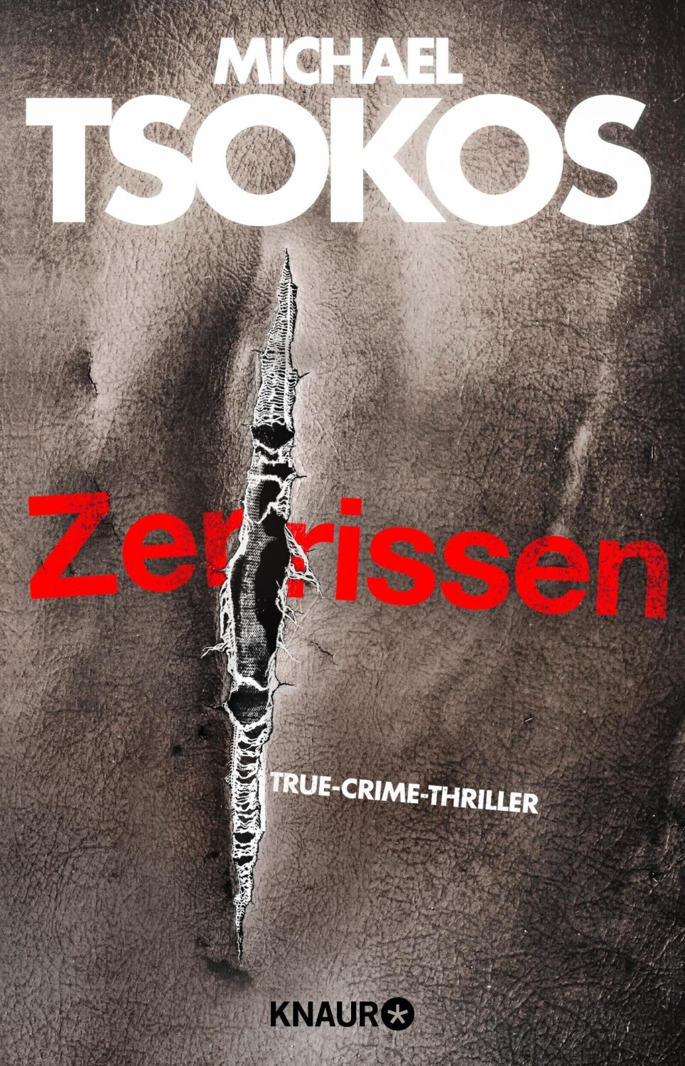 Zerrissen [9783426525494]