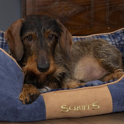 Scruffs for Pets Lit pour chien Blue S Scruffs for Pets Lit pour chien Blue S