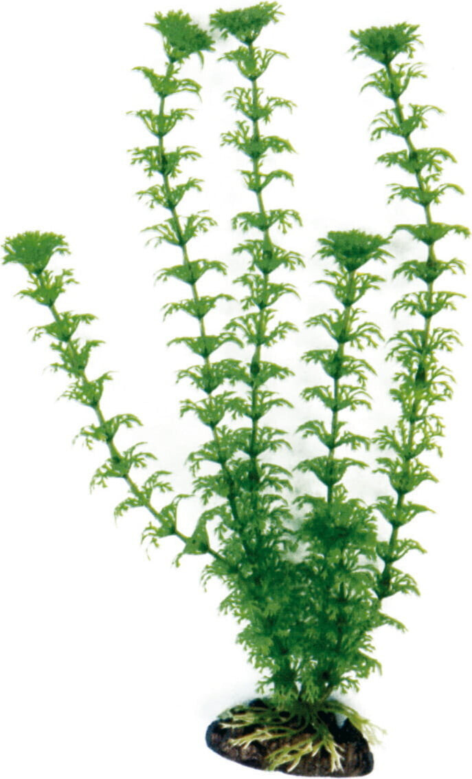 Amtra Plastic Aquarium Plant Cabomba