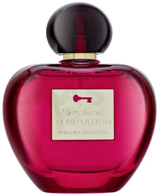 Antonio Banderas Her Secret Temptation