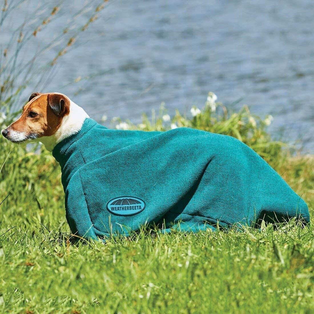 Buy WeatherBeeta ComFiTec Dog Dry Coat 2XS Green from £27.09 (Today