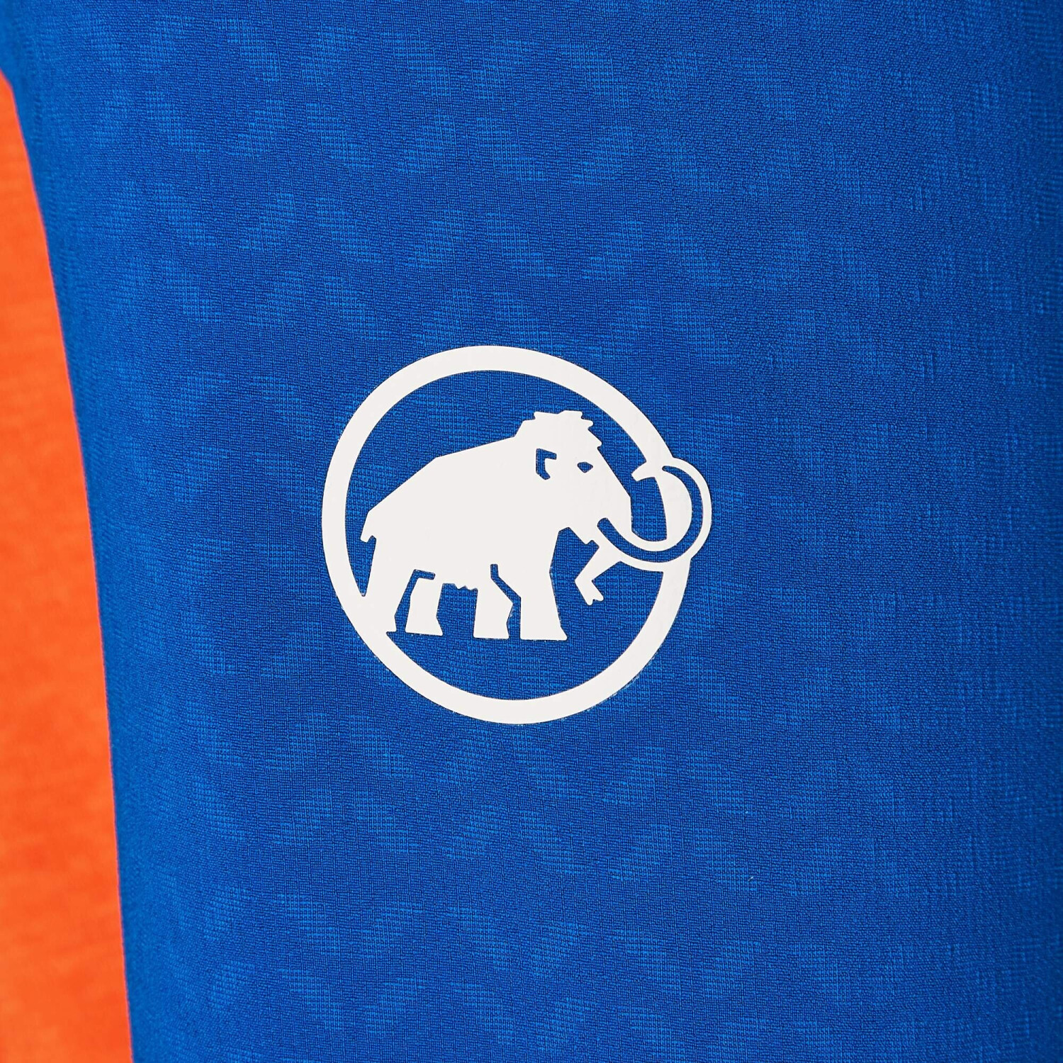 Mammut logo hooded online