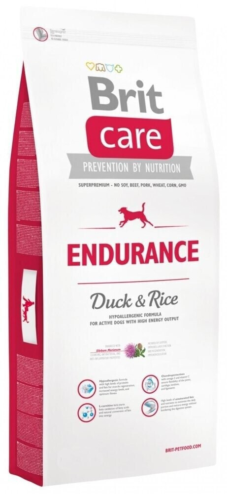 Brit Endurance