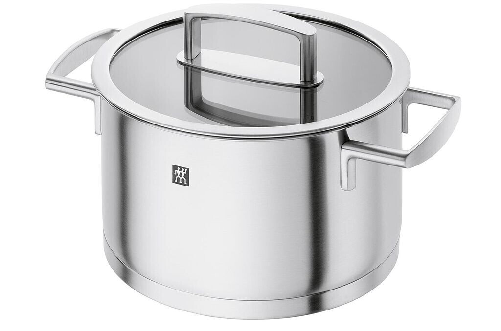 ZWILLING Vitality Induction Cooking Pot 20 cm