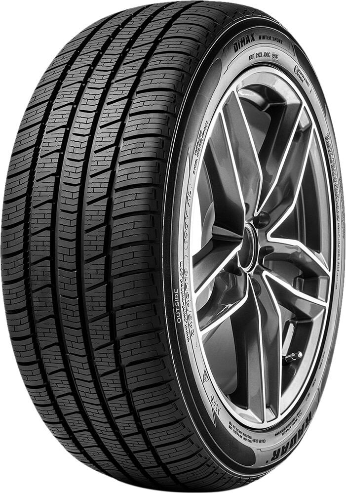 Radar Dimax Winter Sport 295/35R21 107V