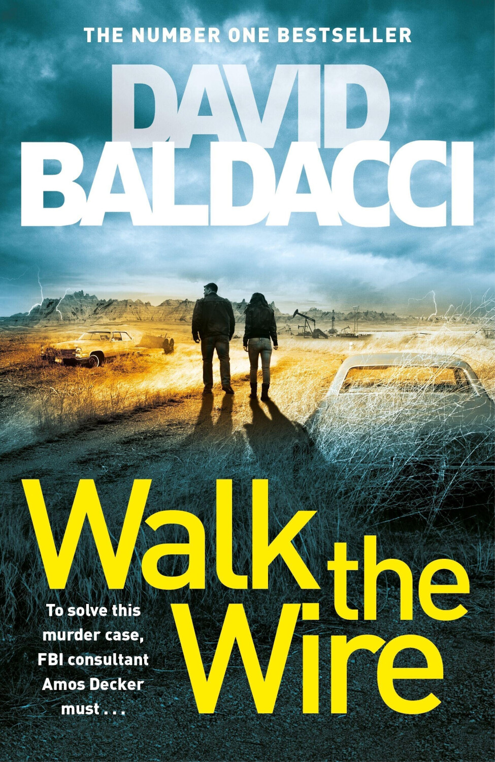 Walk the Wire (ISBN: 9781509874538)