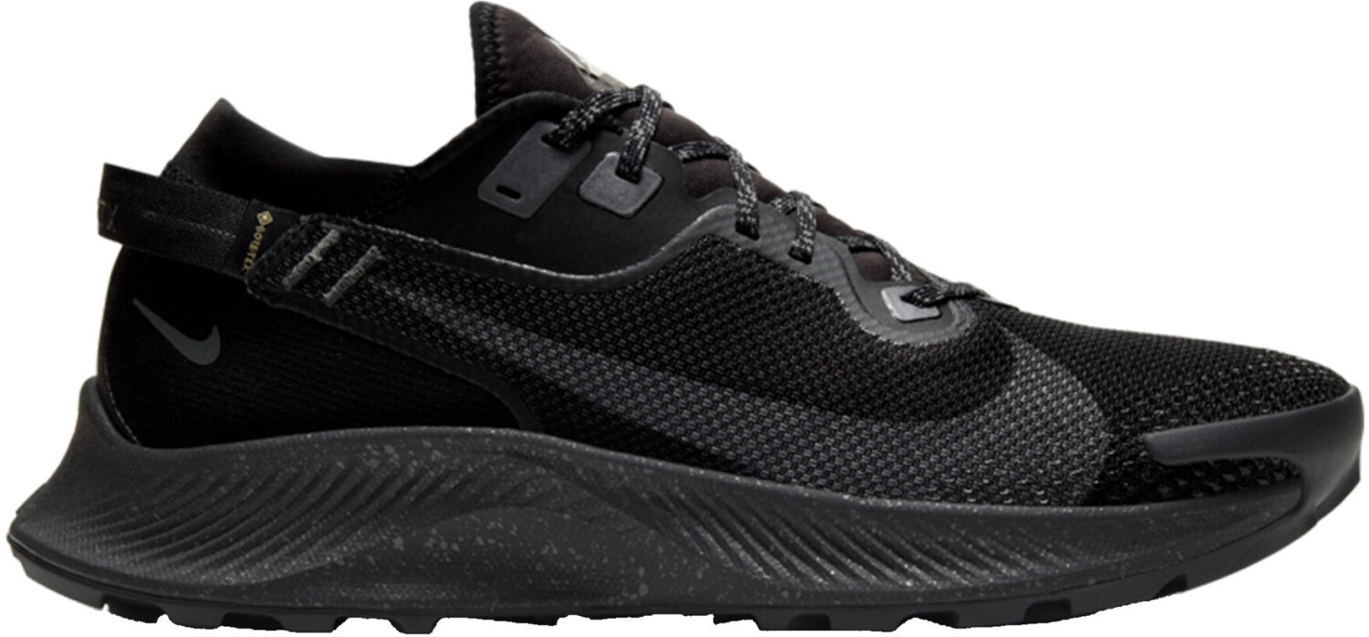 pegasus 2 trail goretex