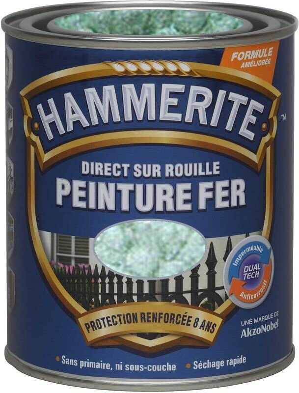 Hammerite Peinture pour métal antirouille martelée vert jade 0,75 L au  meilleur prix sur