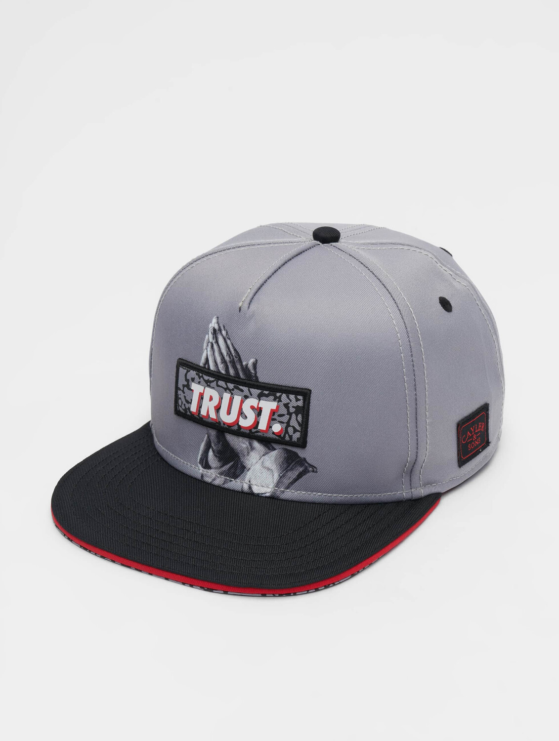 Cayler & Sons Snapback Cap WI Jay Trus grey (CS1350001190050)