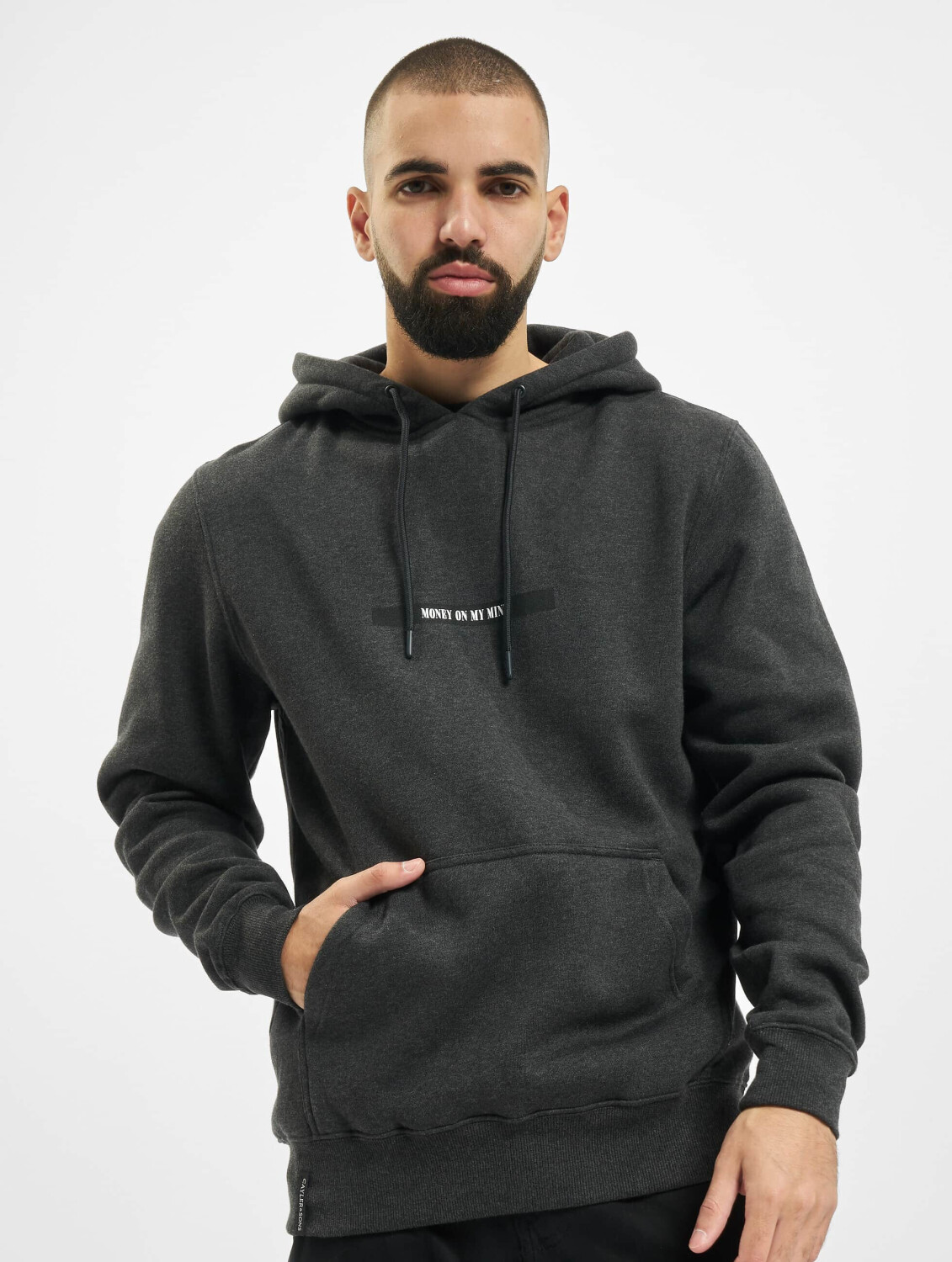 Cayler & Sons Hoodie Wl Dollar Mind grey (CS25671806)