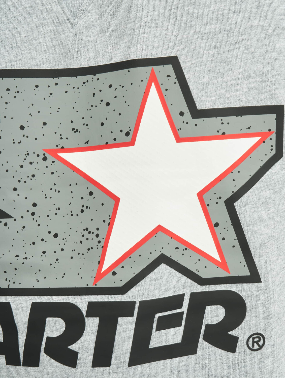 Starter Sweatshirt Multicolored Logo grey (ST01900431)