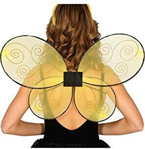 Guirca bee wings 63 X 41 cm