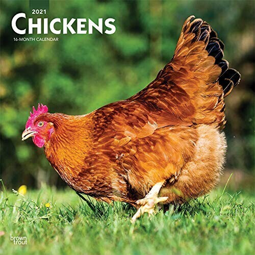 BrownTrout Chickens 2021