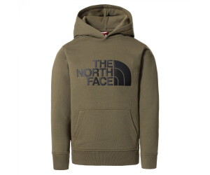 The North Face Youth Drew Peak Hoodie ab 35,00 € | Preisvergleich bei