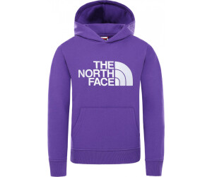 The North Face Youth Drew Peak Hoodie au meilleur prix sur idealo