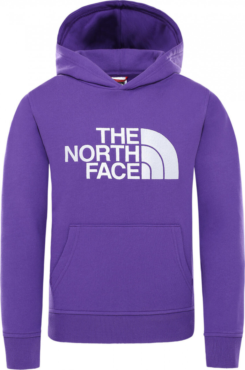 The North Face Youth Drew Peak Hoodie purple
