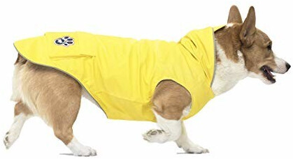 Canada Pooch Torrential Tracker