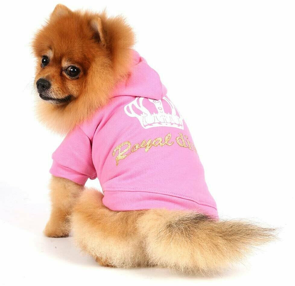 DoggyDolly Sweatshirt Royal M Pink