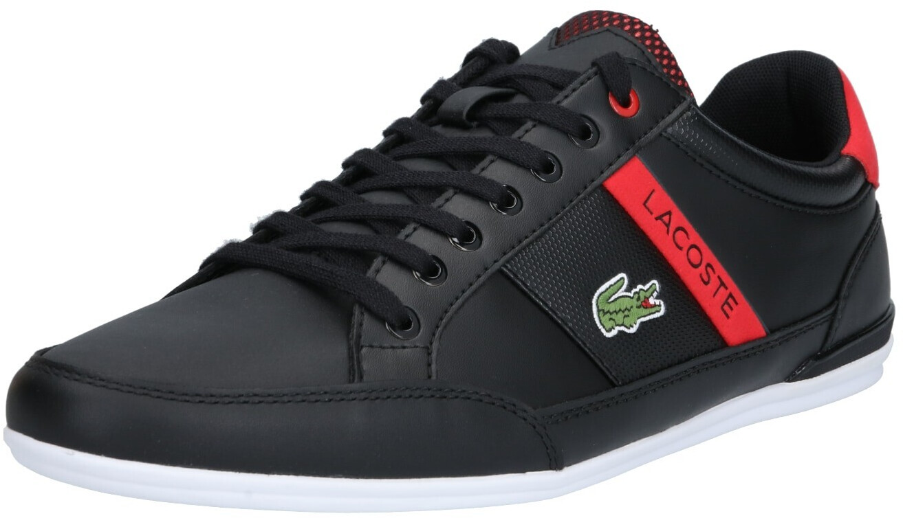 lacoste chaymon tan