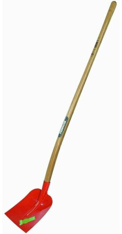 PRIMASTER PRIMASTER Holsteiner (1330611) - Product image 1 of 1