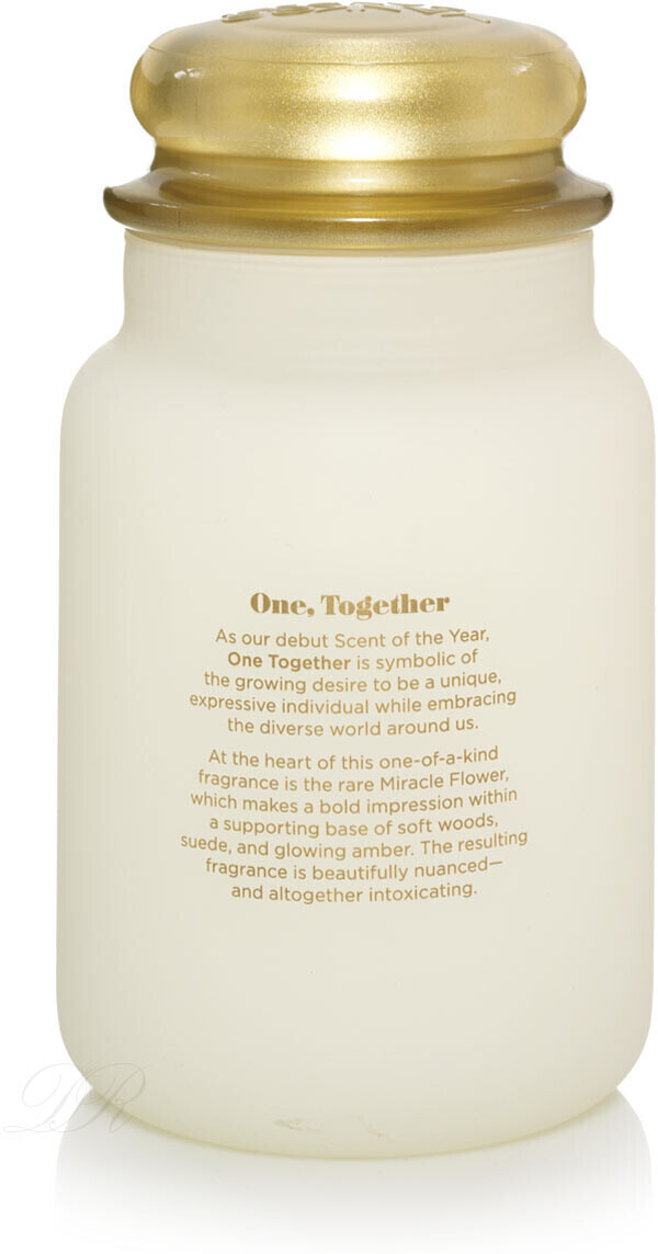 Yankee Candle One Together Housewarmer 623g