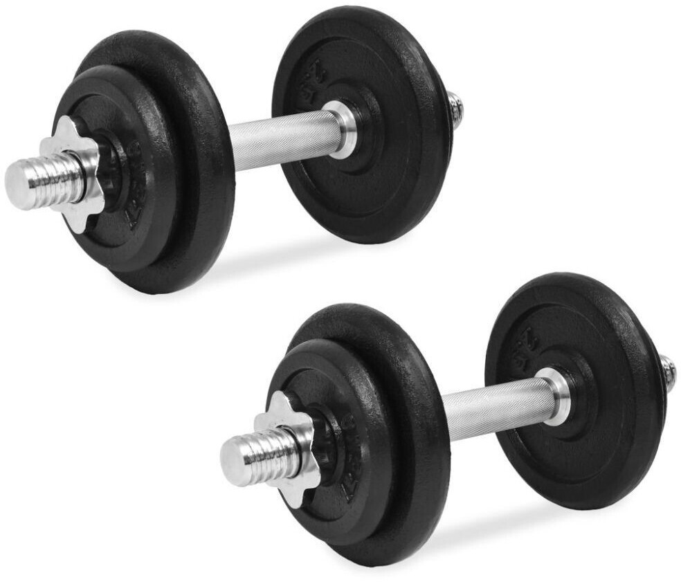 vidaXL Set de 2 haltères en fonte avec poids