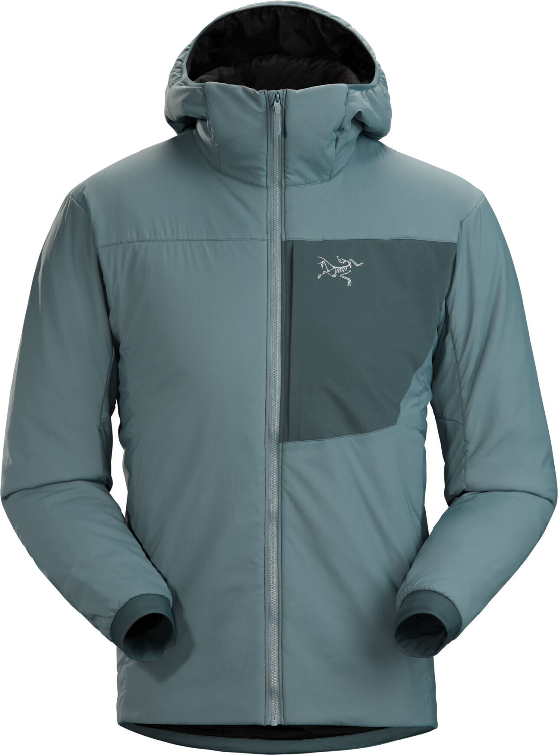 Arc'teryx Proton LT Hoody Men (24007) crux