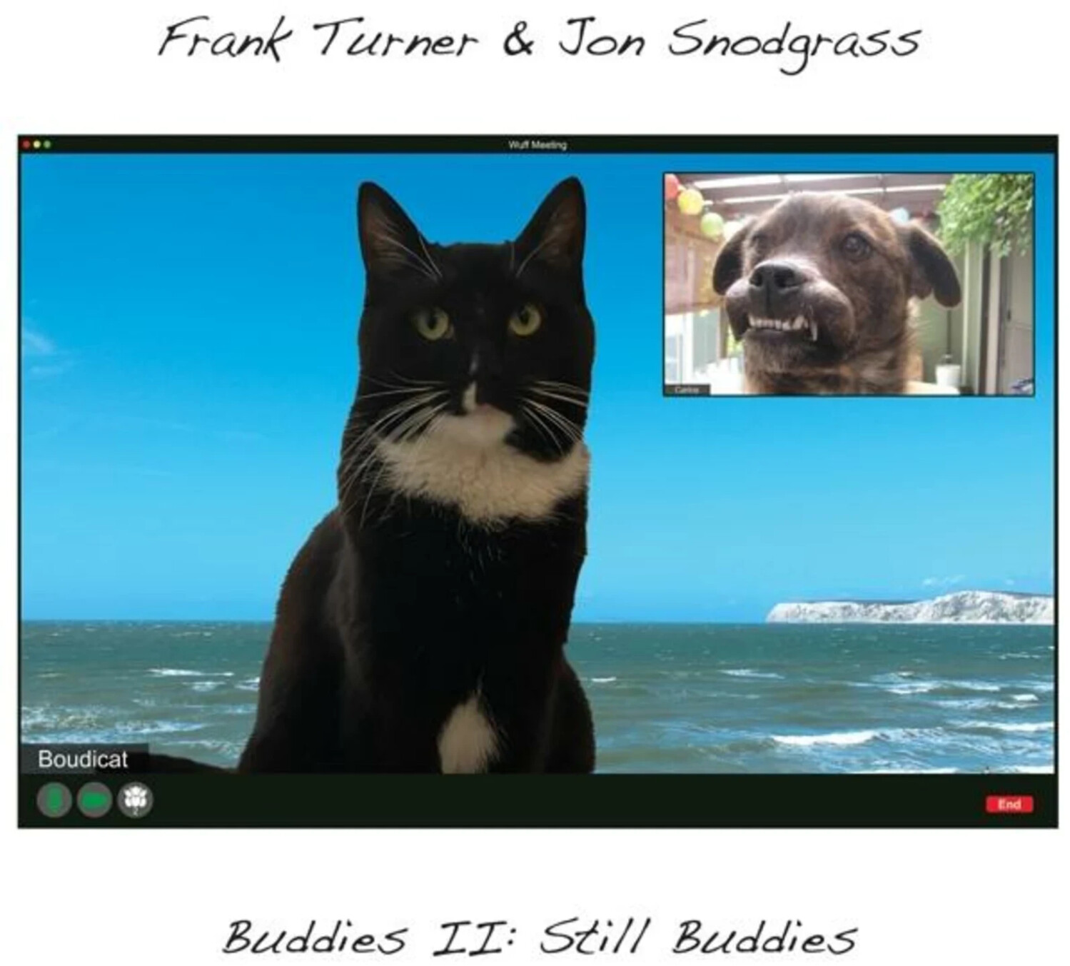 Turner,Frank & Snodgrass,Jon - Buddies Ii: Still Buddies (Vinyl)