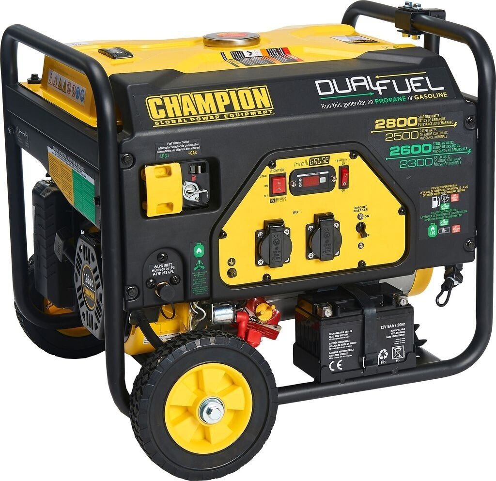 Champion Power Equipment WWCPG3500E2-DF-EU