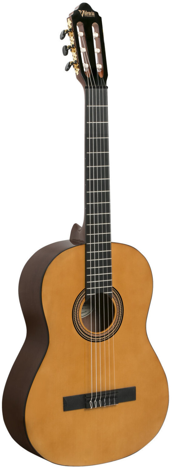 Valencia Guitars VC264