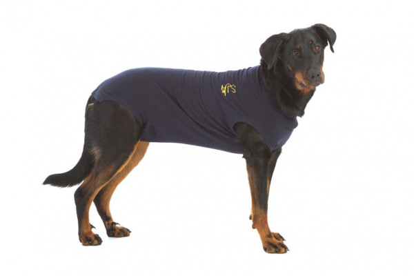 MPS Chien XXL bleu