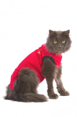 MPS Cat