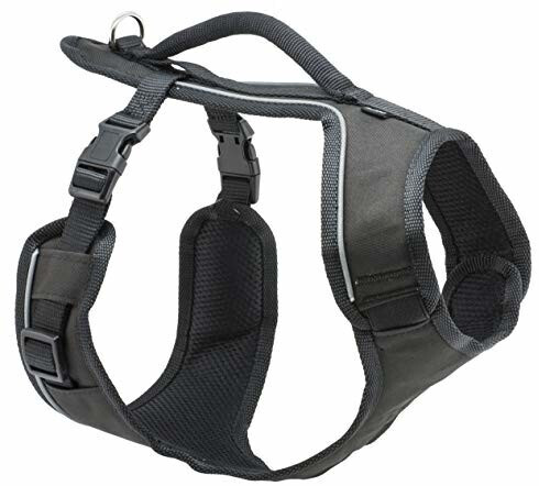 Petsafe EasySport Dog Harness M Black
