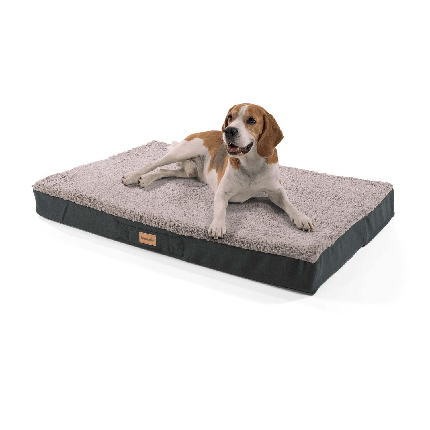 Brunolie Balu orthopedic Dog Bed