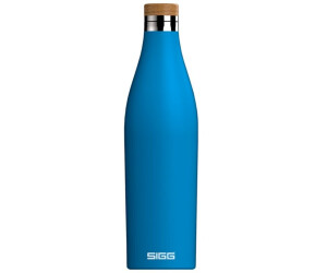 Sigg Meridian Water Bottle 