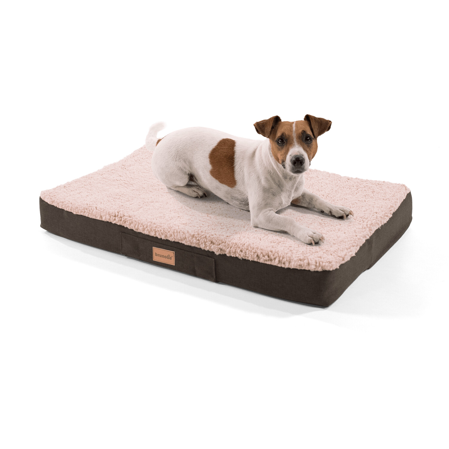 Brunolie Balu orthopedic Dog Bed S 72x50cm Beige