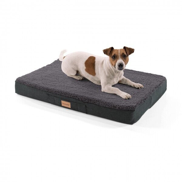 Brunolie Balu orthopedic Dog Bed  S 72x50cm Dark Grey
