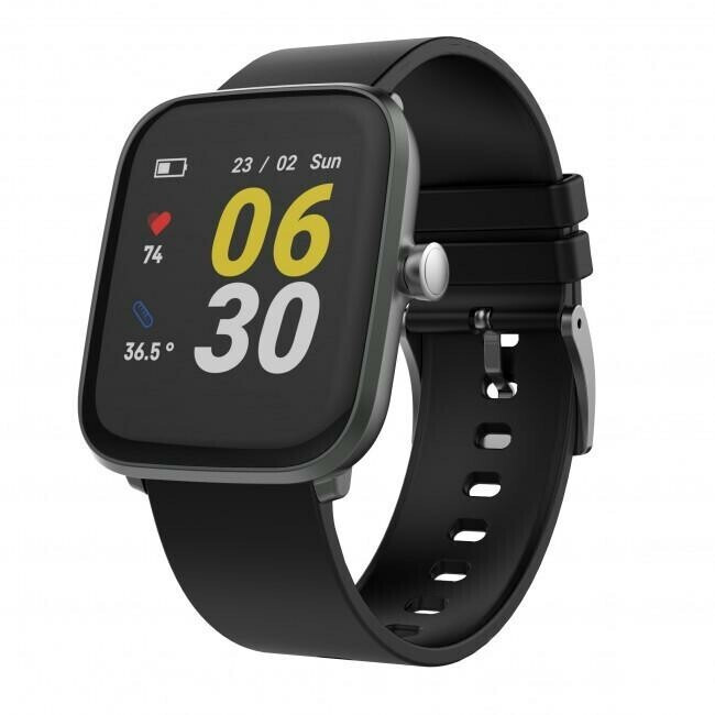 swisstone SW 630 BT