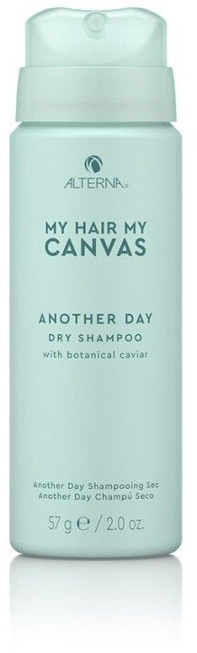 Alterna My Hair. My Canvas. Another Day Dry Shampoo