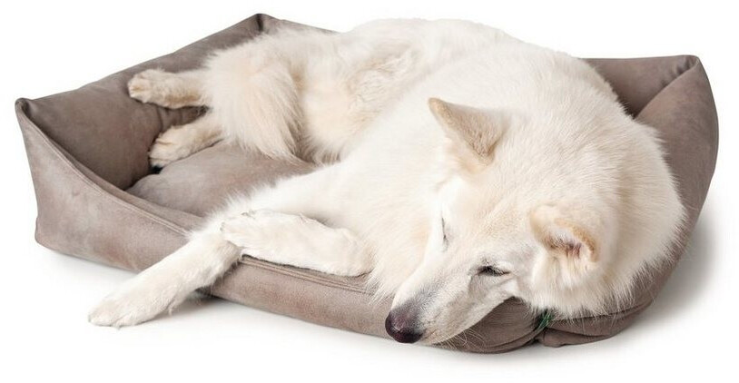 HUNTER Lit pour chien Dog Sofa Bologna 50x35cm Stone HUNTER Lit pour chien Dog Sofa Bologna 50x35cm Stone