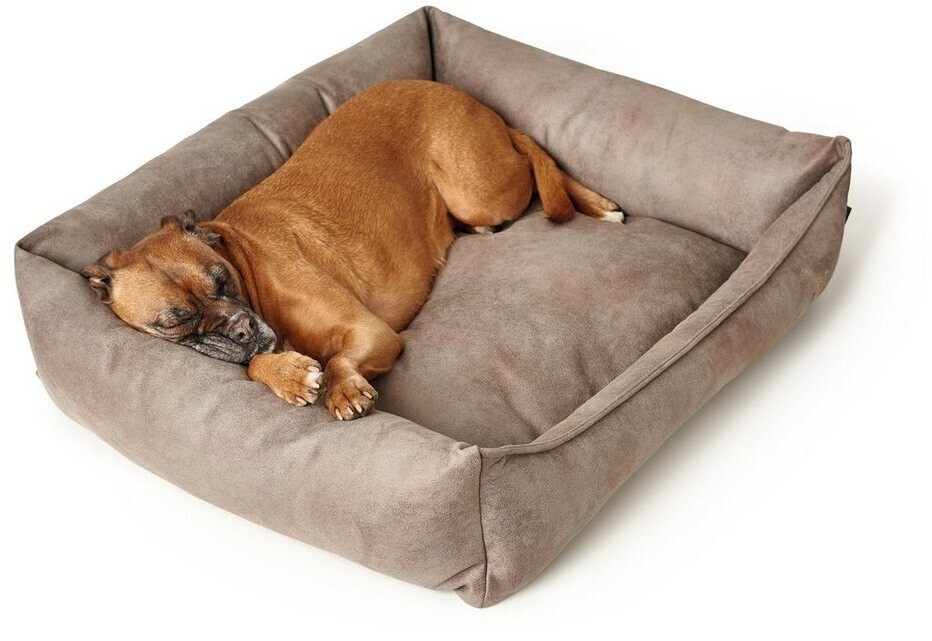 HUNTER Lit pour chien Dog Sofa Bologna 50x35cm Stone HUNTER Lit pour chien Dog Sofa Bologna 50x35cm Stone