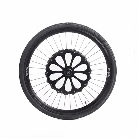 Teebike Roue électrique 26 pouces